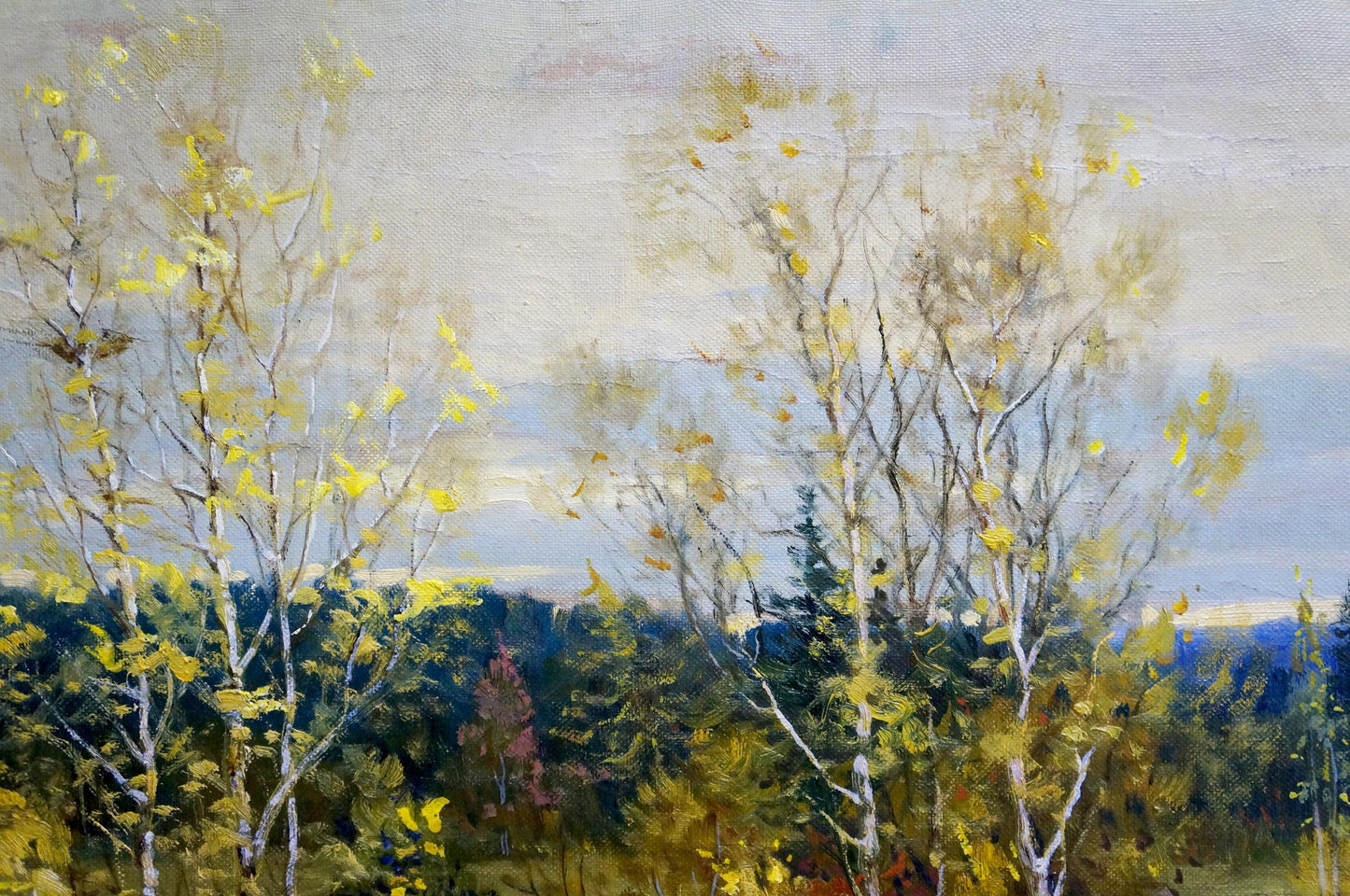 Oil painting of windy autumn birch landscape by V. Gavrilov