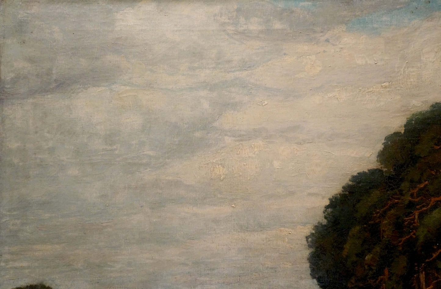 Oil painting Old forest: vast sky with gray clouds over dark green foliage