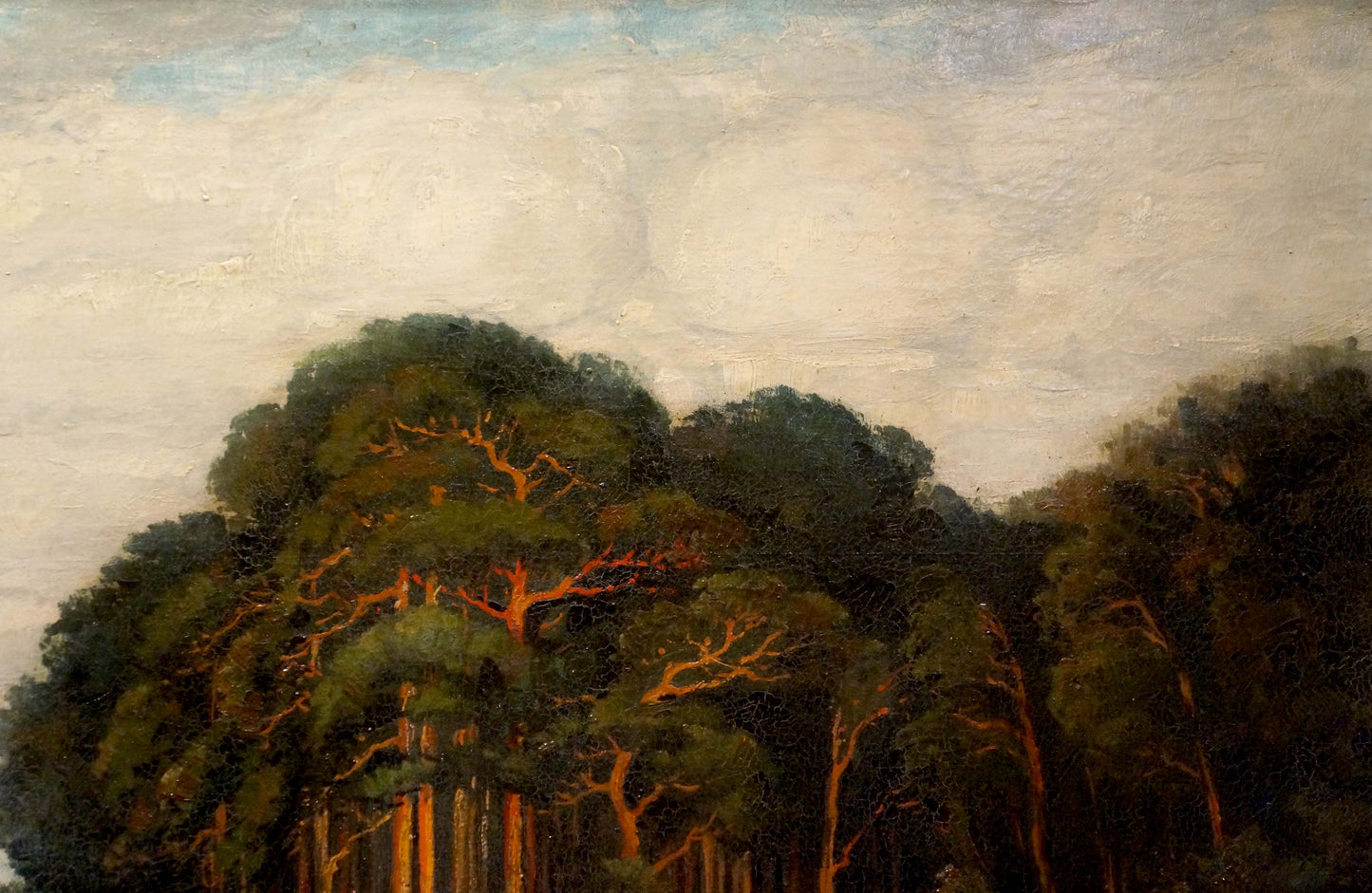 Oil painting Old forest with dense dark green foliage and warm tree trunks
