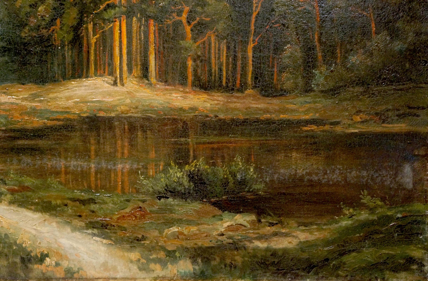 Oil painting of old forest: serene tall trees reflecting in calm dark waterway