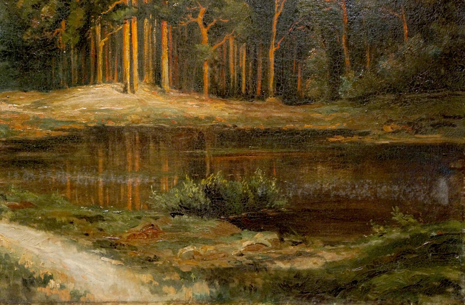 Oil painting of old forest: serene tall trees reflecting in calm dark waterway