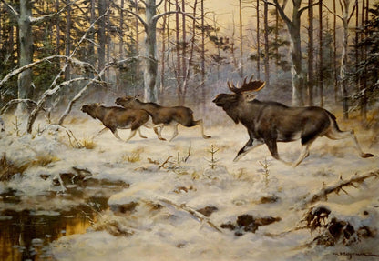 Oil painting of elks in snowy forest: bull moose with large antlers running at dusk
