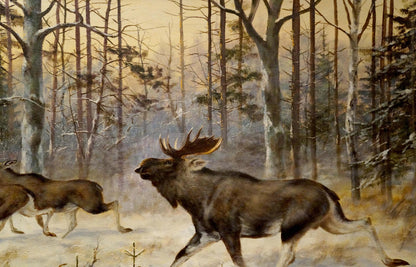 Majestic brown moose with antlers running through snowy forest with elks, oil painting