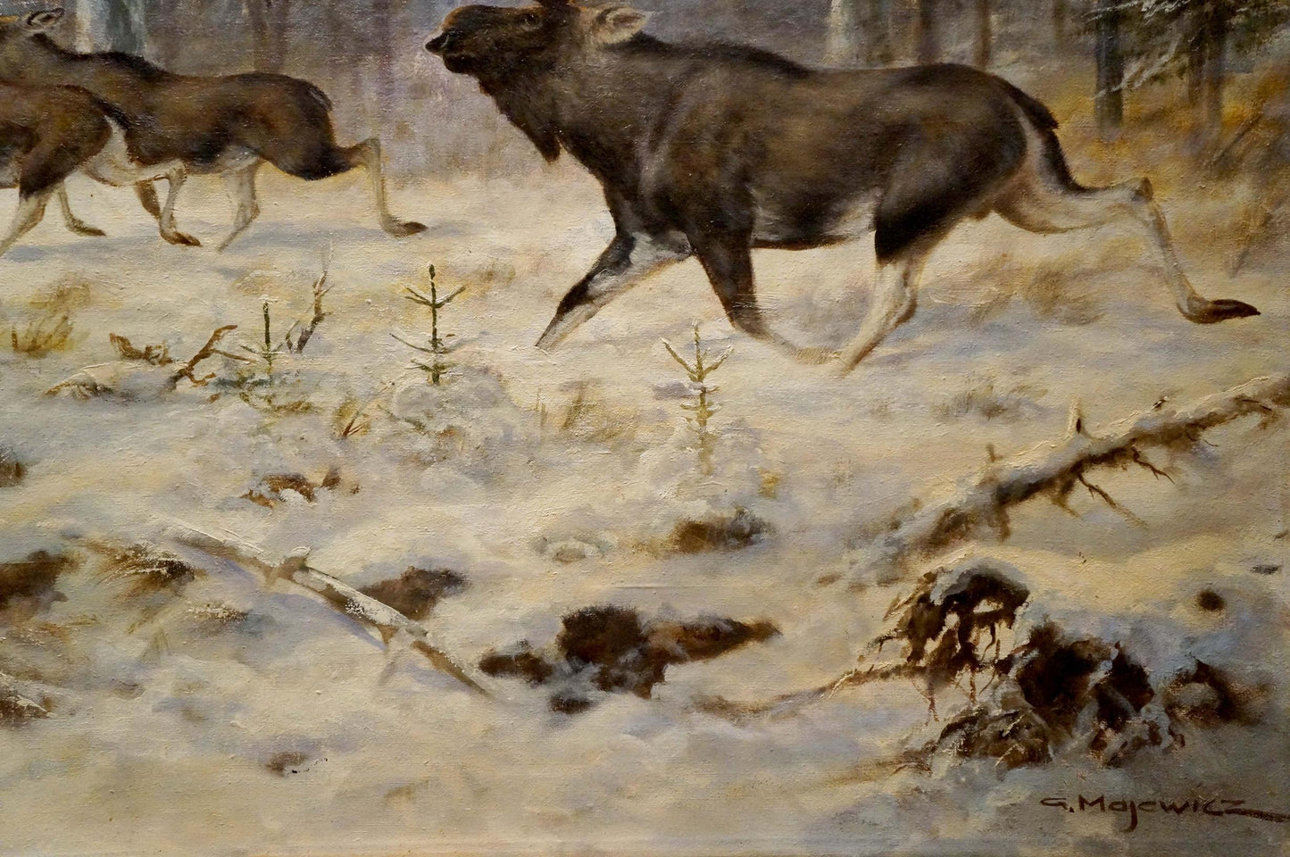 Impressionistic oil painting of dark brown moose with white legs running in snowy forest