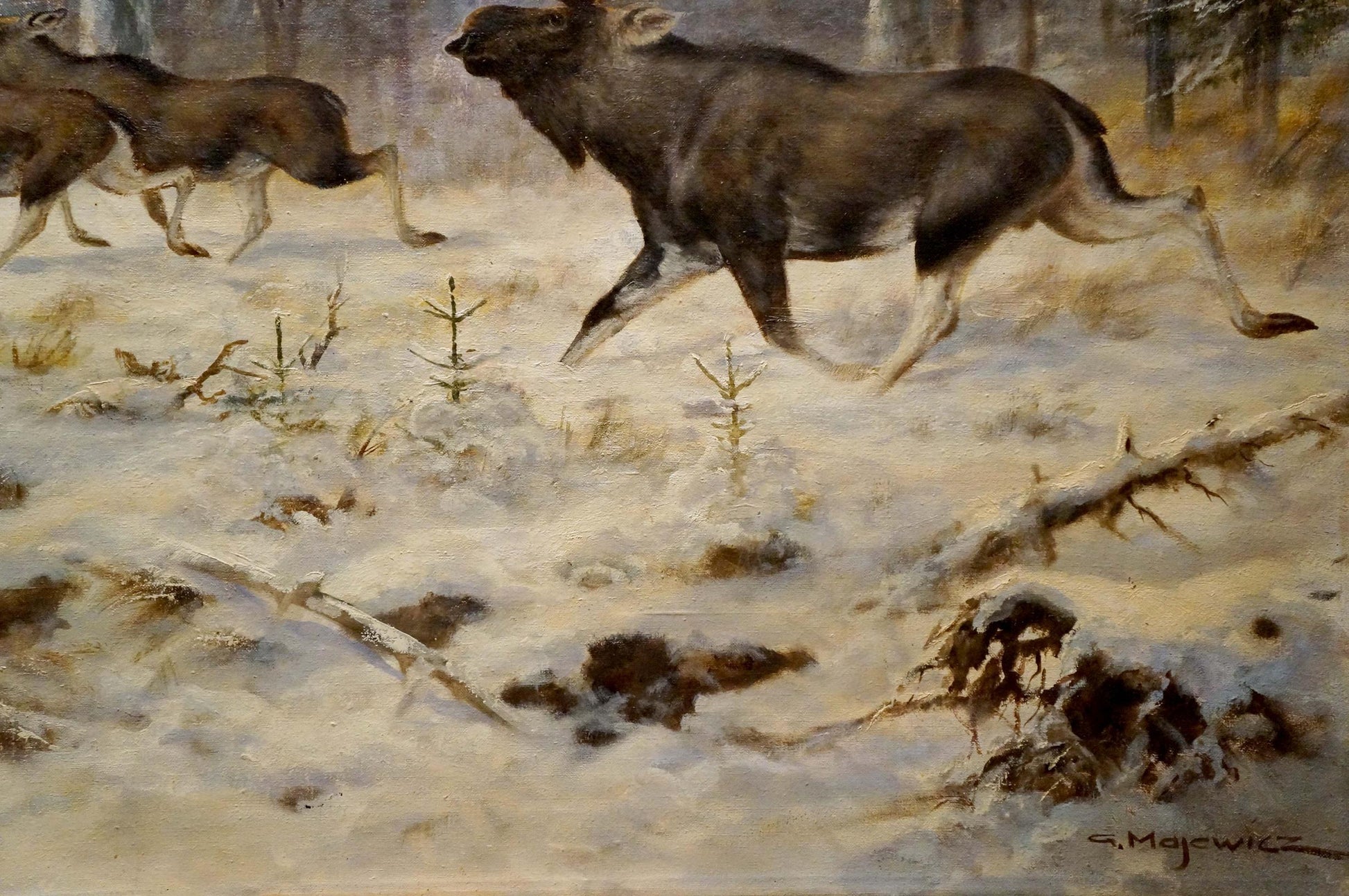 Impressionistic oil painting of dark brown moose with white legs running in snowy forest