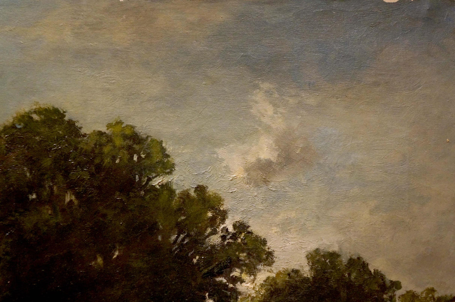 Oil painting of dark green tree tops by Fritz Halberg-Krauss