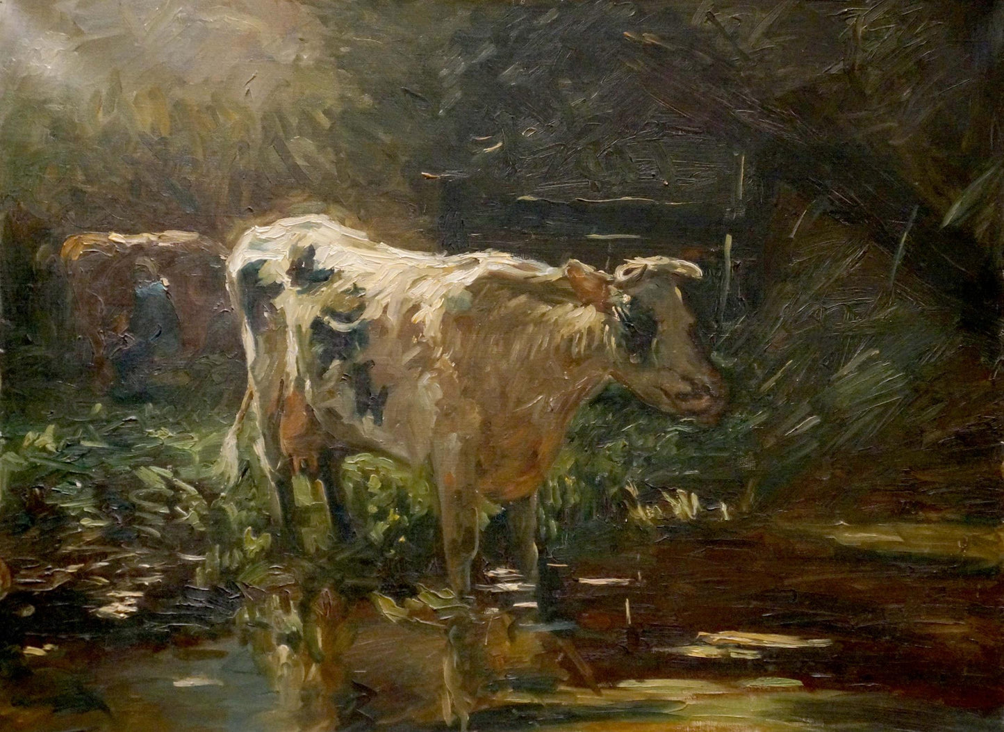 Oil painting of cream black spotted cow at pond in shallow water