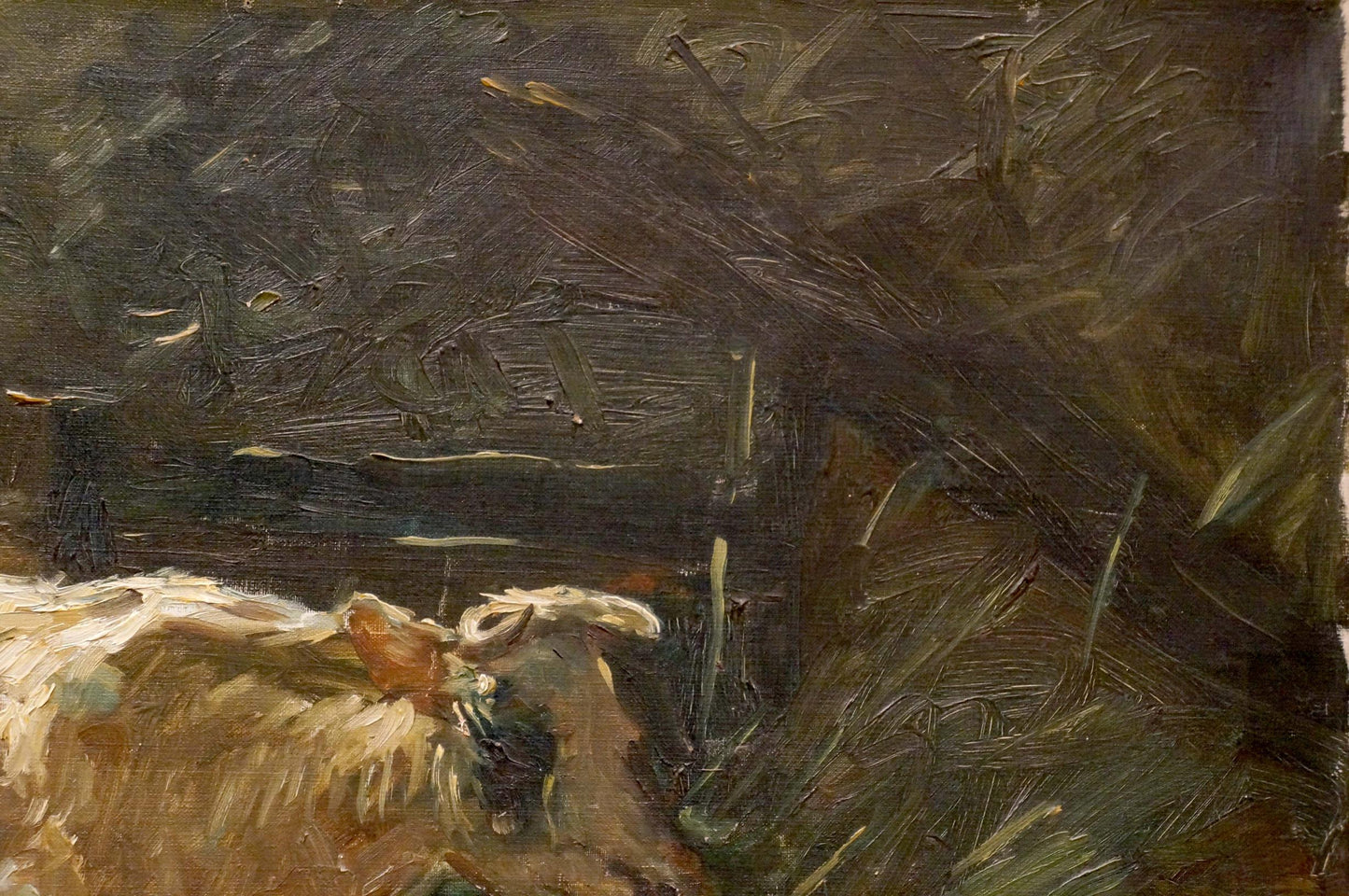 Oil painting of light-colored woolly cow at pond resting in shadowy grass