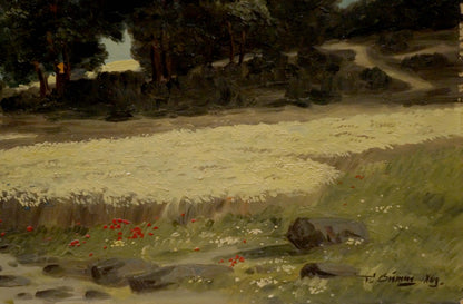 Oil painting Hay field: sunlit white flowers, poppies, path, trees