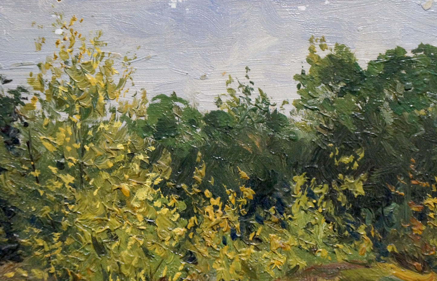 Oil painting by Petr Chernyshevsky: yellow flowers on wooded hill under cloudy sky