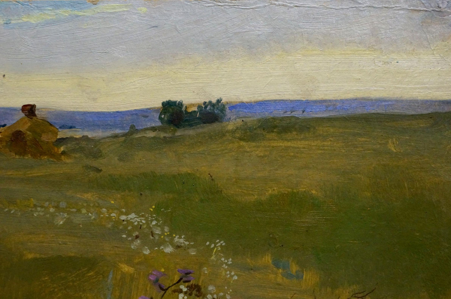 Oil painting Meadows Poltavetsky: serene green hills, blue water, wildflowers