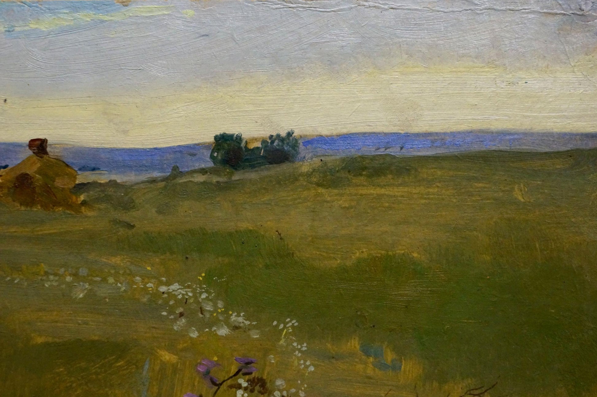 Oil painting Meadows Poltavetsky: serene green hills, blue water, wildflowers