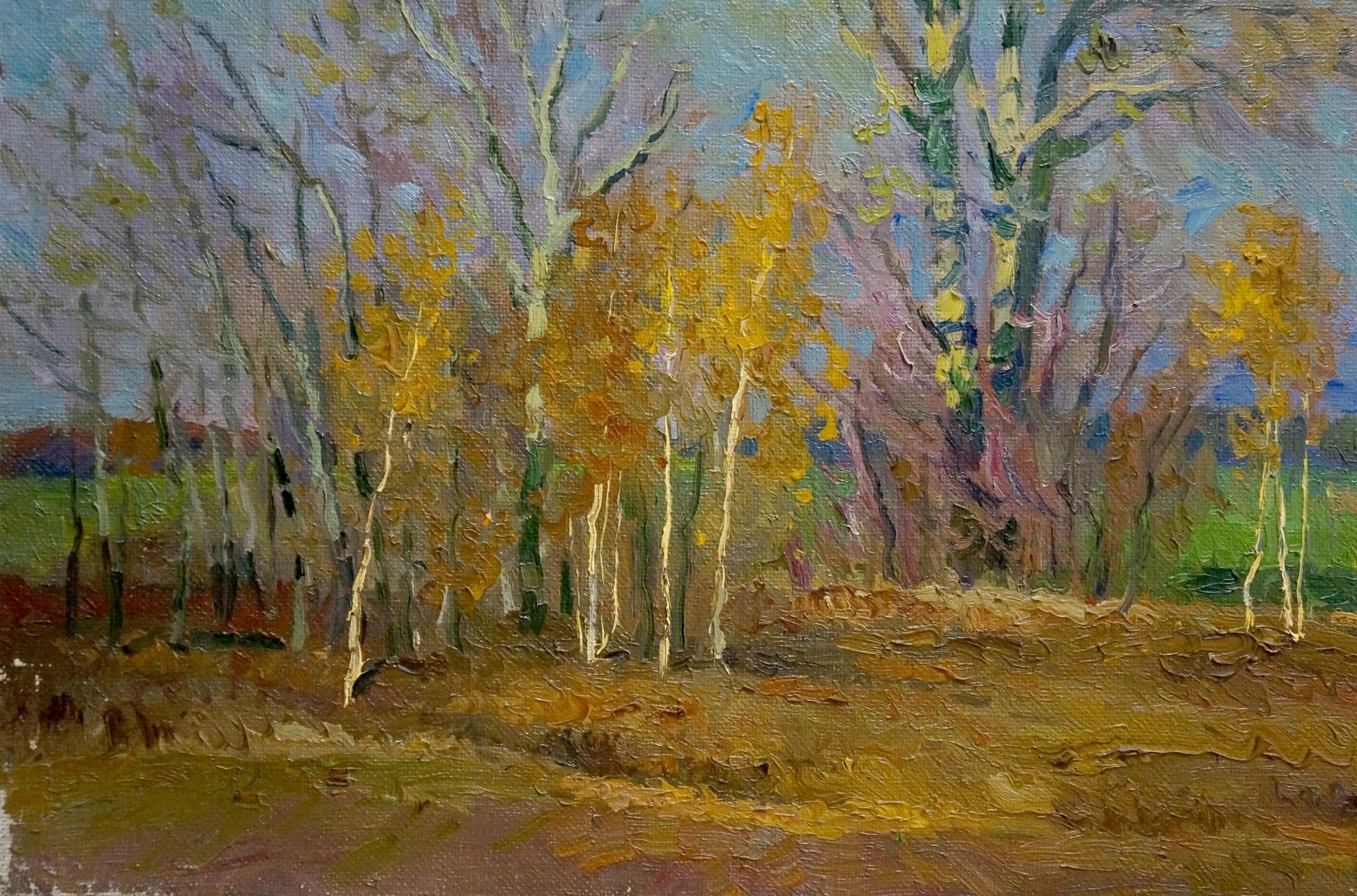 Impressionistic oil painting Waiting for the Winter by Mynka Alexander Fedorovich: autumnal forest with white-barked trees and golden foliage under soft blue sky