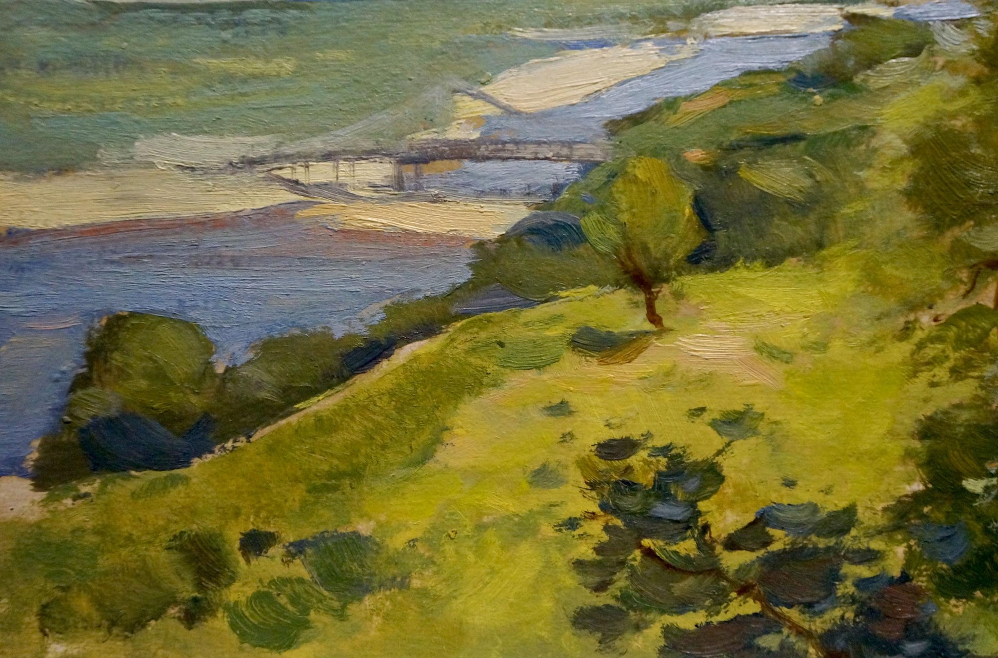 Vibrant impressionistic oil painting by Buryachok Nikolay Ivanovich of sunlit hillside