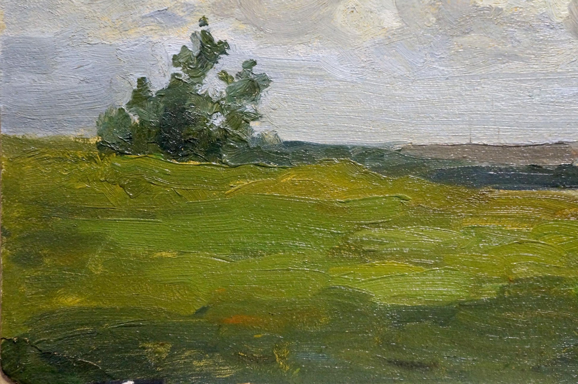 Textured oil painting of rolling green field under cloudy sky by Buryachok Nikolay Ivanovich