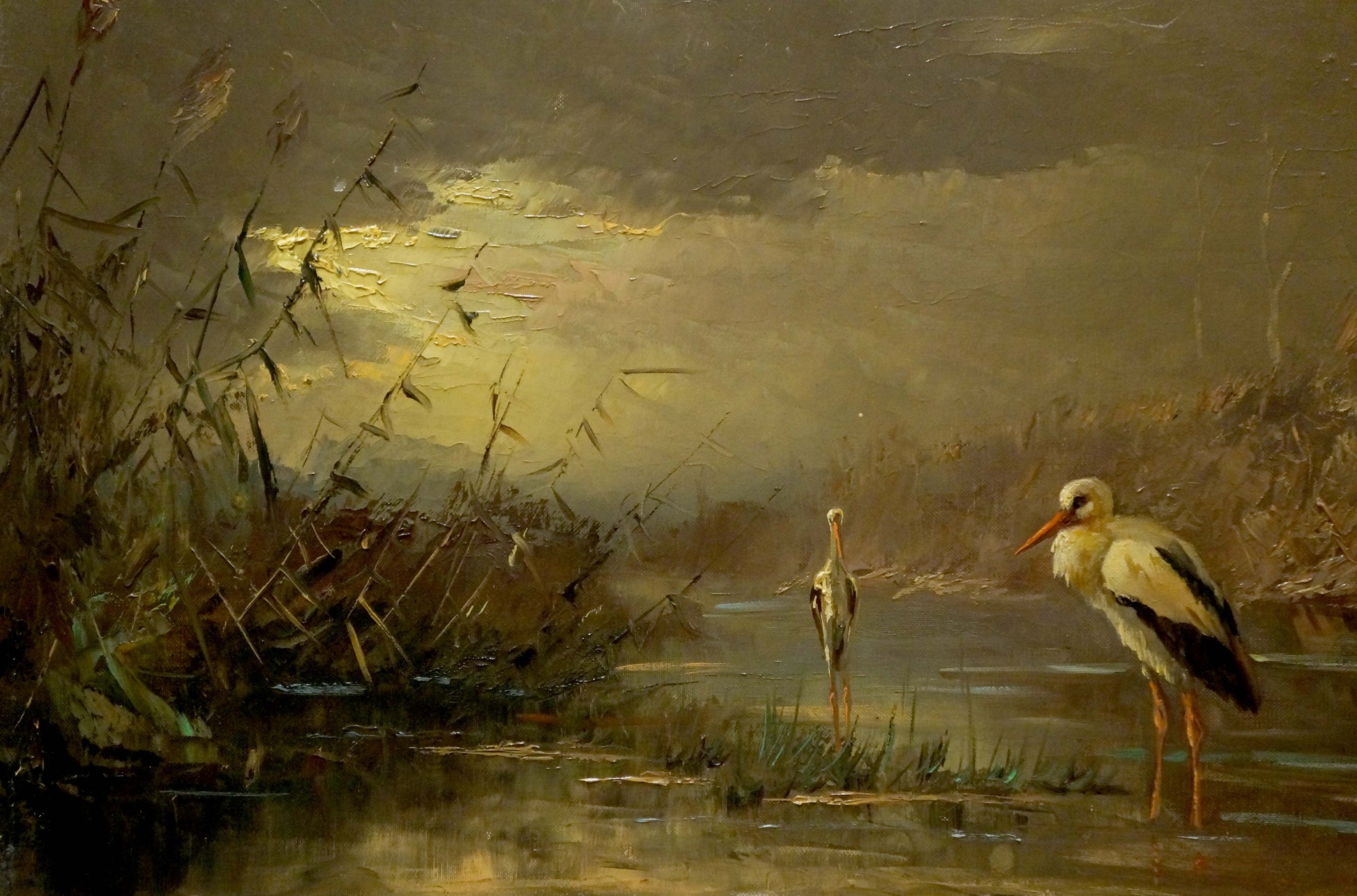 Oil painting of white stork with black wingtips on shore