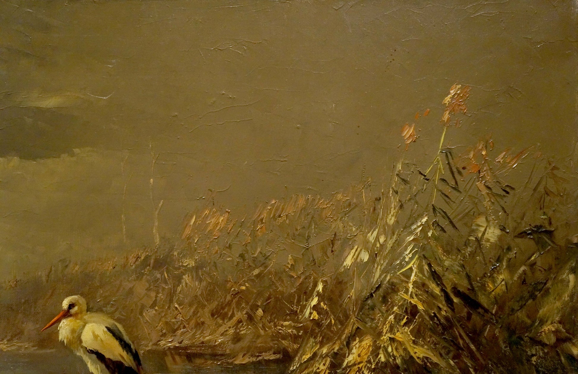 Oil painting of herons on shore: white stork with orange beak in golden reeds