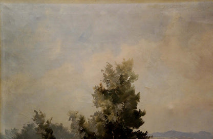 Quiet calm day oil painting of solitary evergreen tree in hazy sky