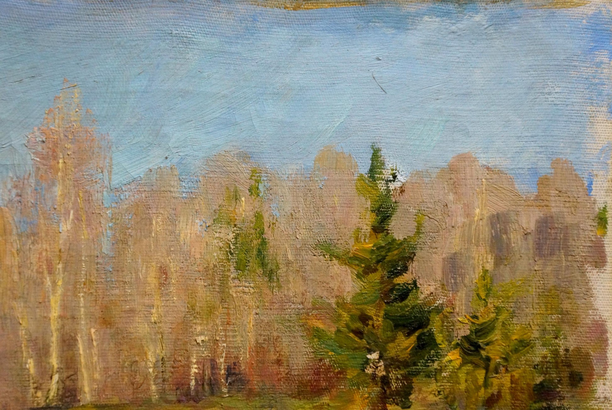 Oil painting End of Winter by Alexander Mynka: autumn forest with evergreen tree