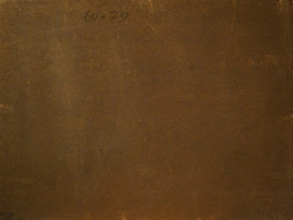 Back of oil painting Natural wonder F. Fischer on aged brown canvas