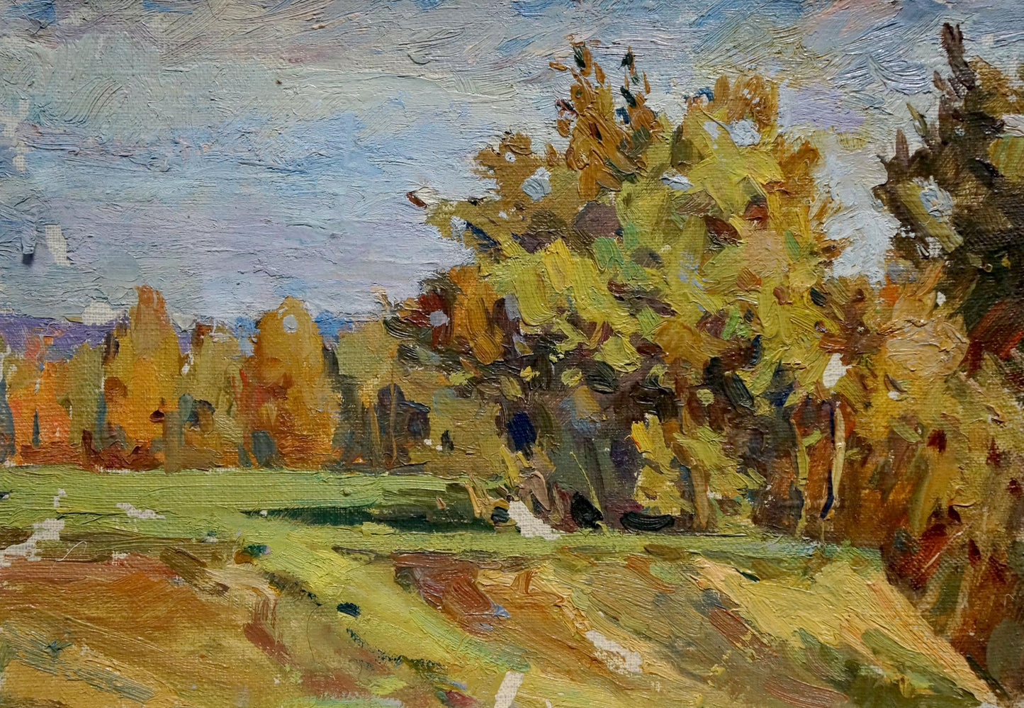Autumn forest landscape oil painting by Turovsky Mikhail Saulovich