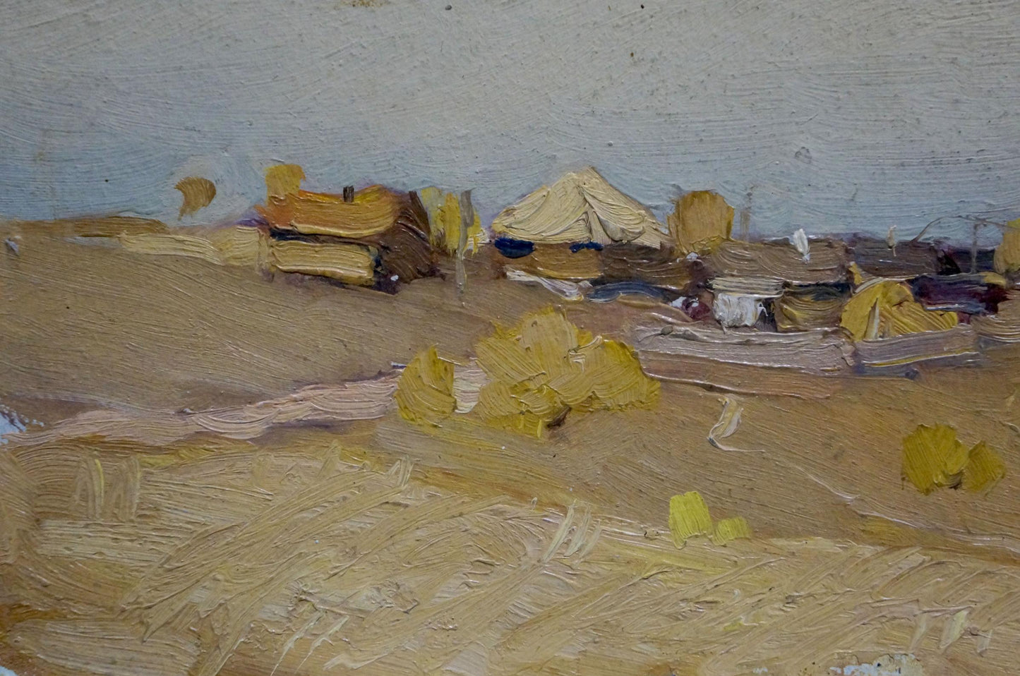 Oil painting Village by N. Shumilkin: textured desert landscape