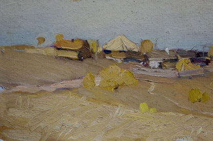 Oil painting Village by N. Shumilkin: textured desert landscape