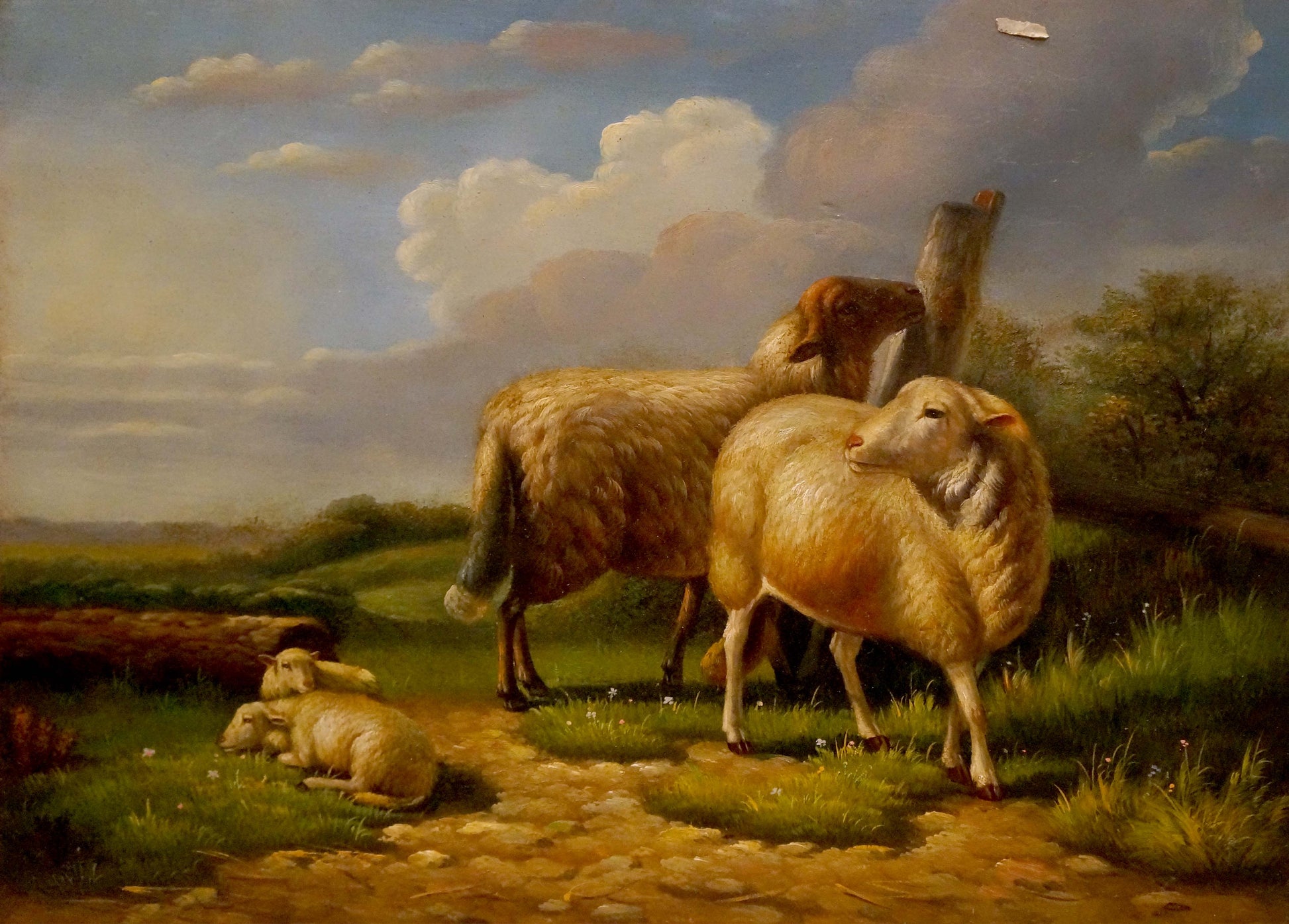 Oil painting goats portrait of woolly sheep and lambs on grassy path