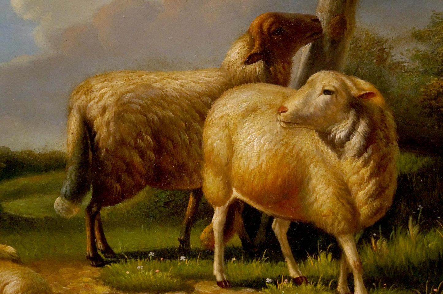 Oil painting goats portrait of two woolly sheep by tree