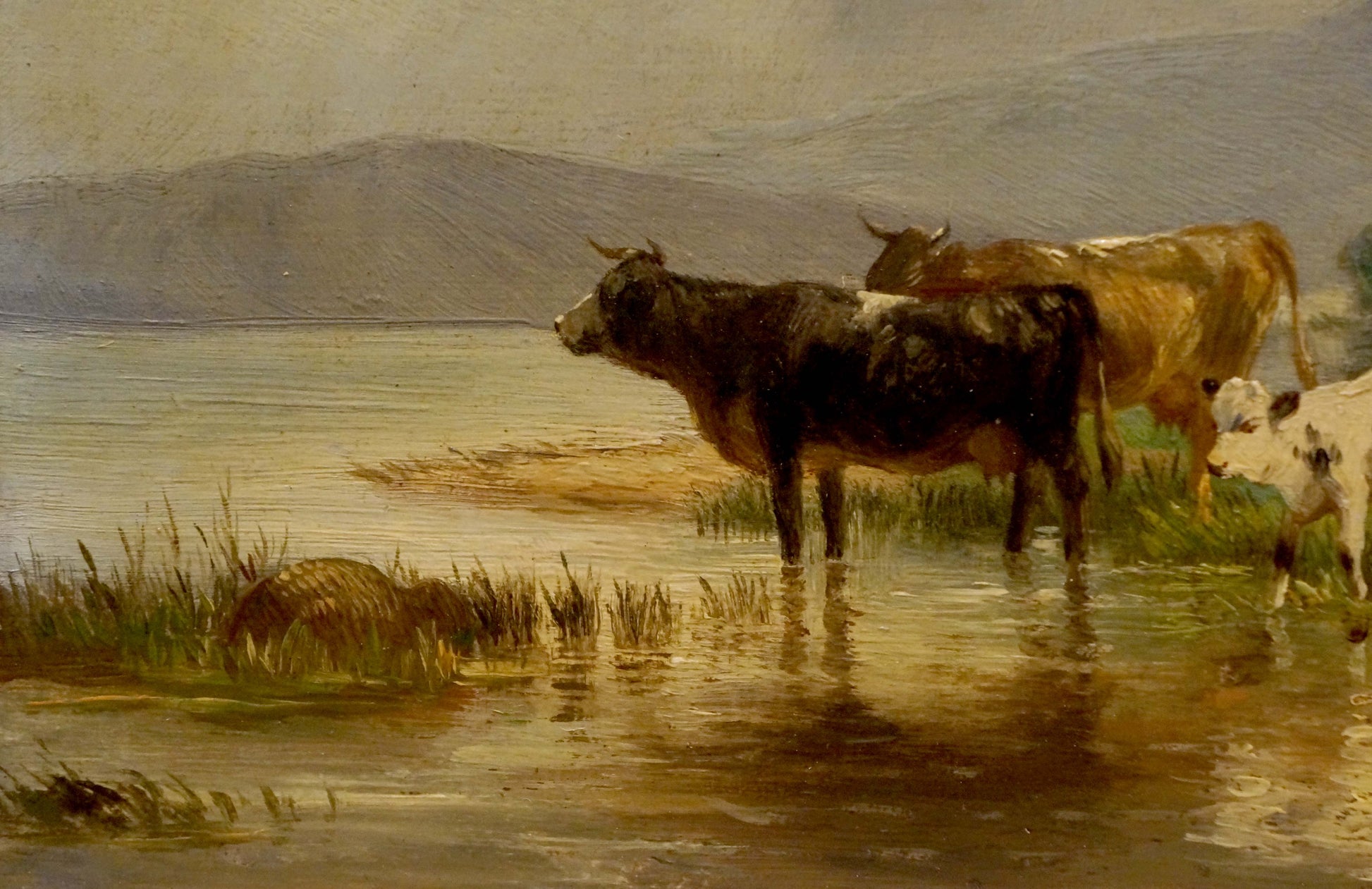Serene oil painting of three cows in pasture by river, unknown artist