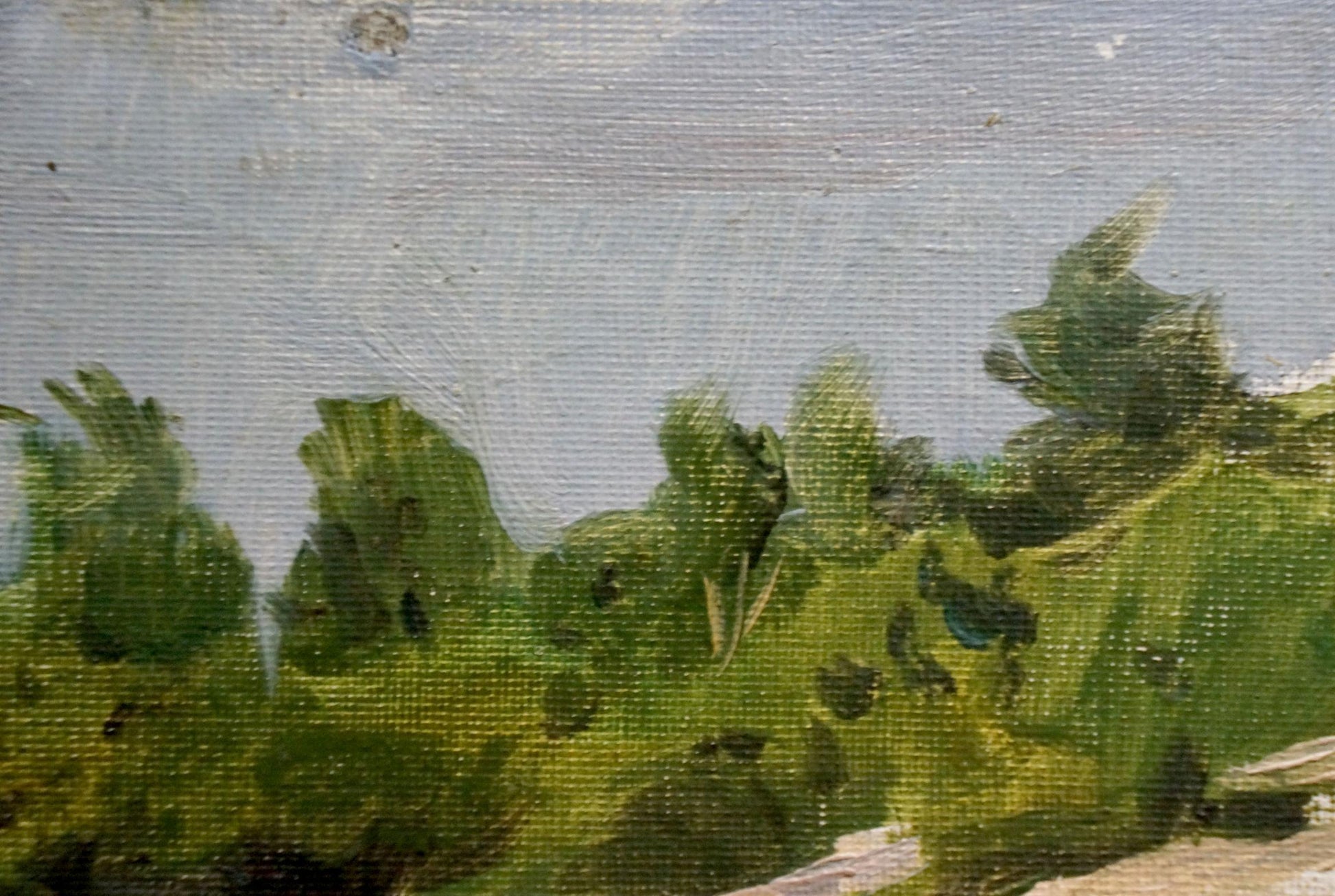 Oil painting On the Shore by Pyotr Alekseevich Alekseev: green foliage on blue sky