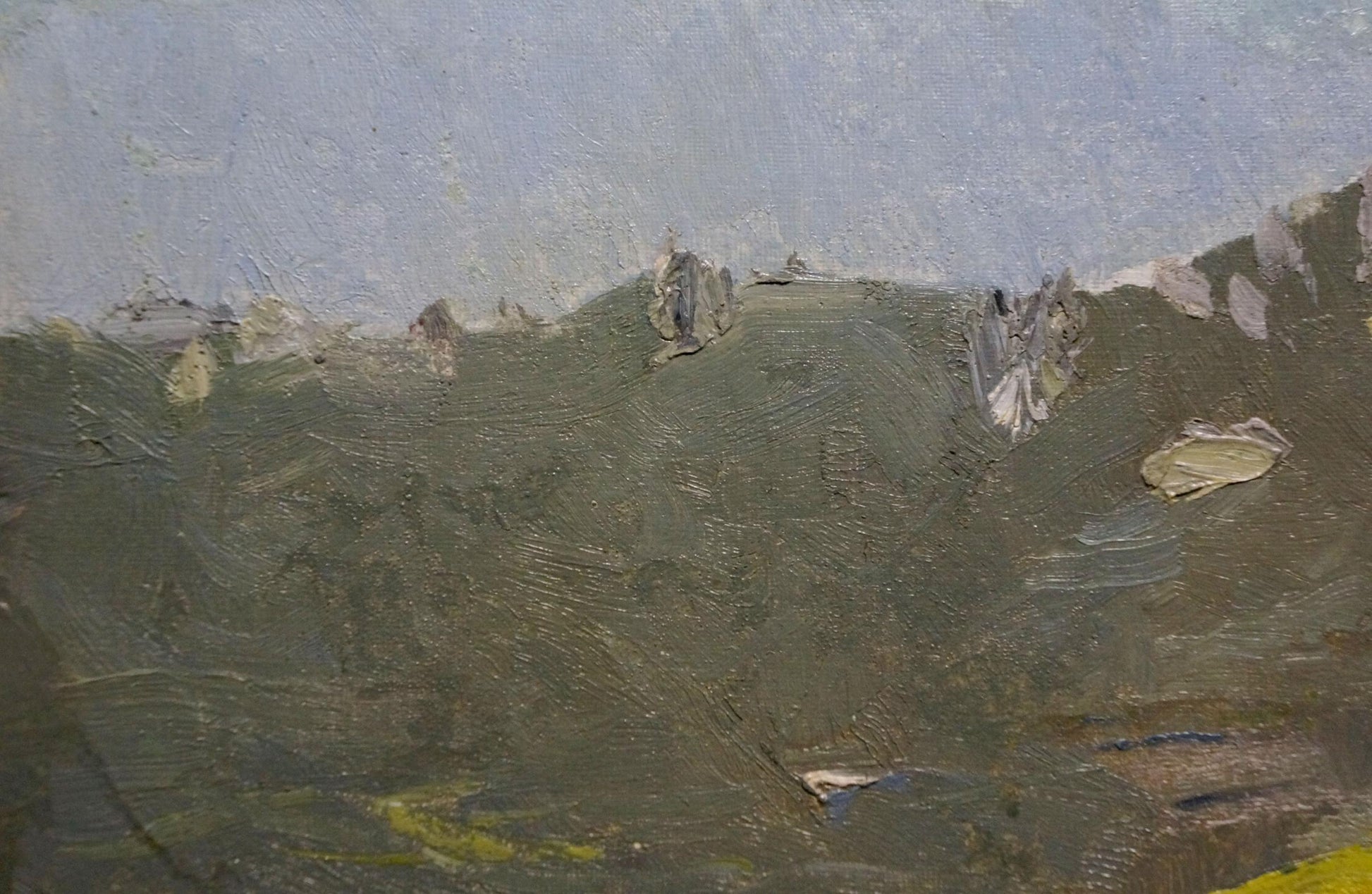 Oil painting of mountain landscape by Knishevsky Vladimir Leonidovich