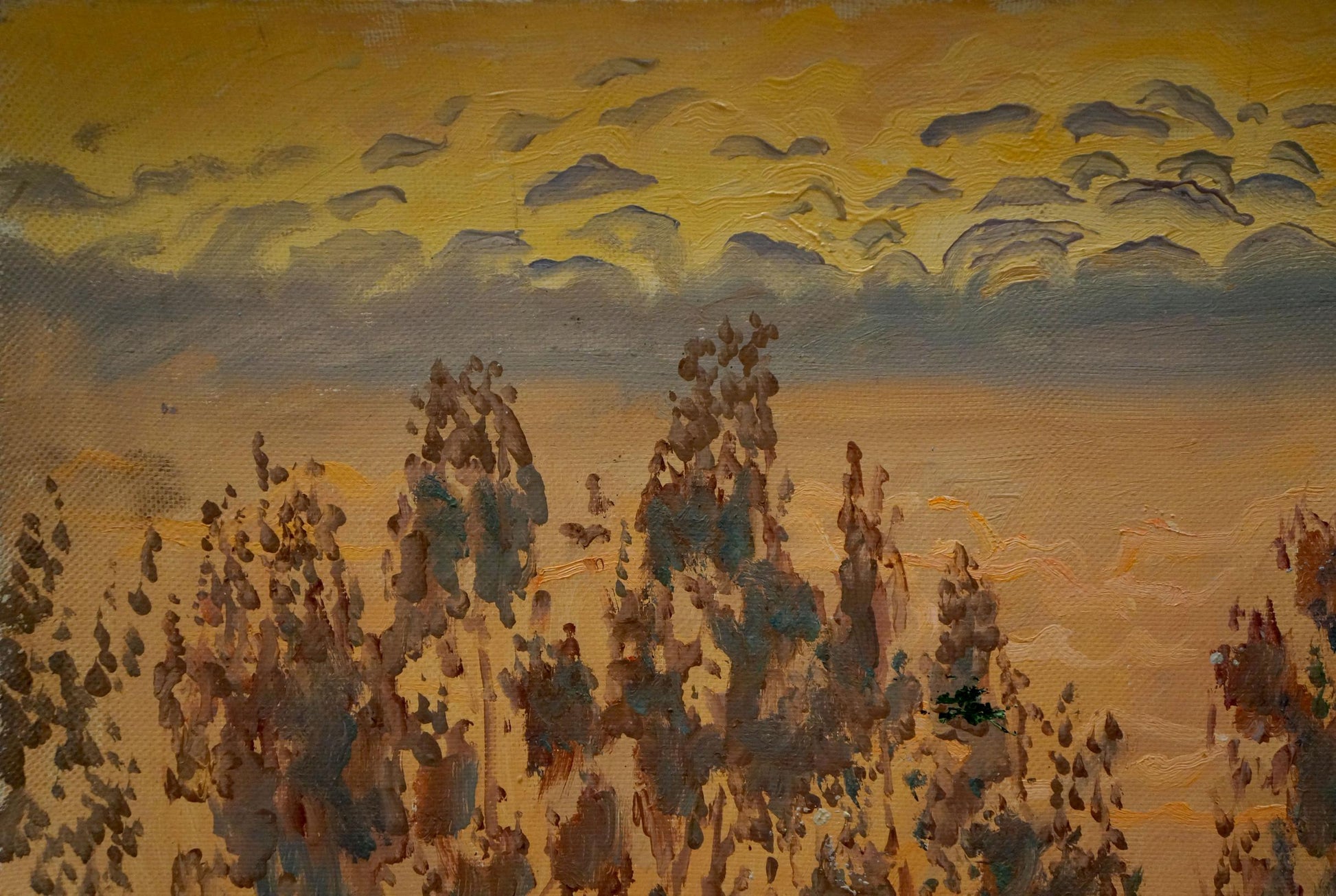Oil painting Sunset by Chernikov Nikolay Vladimirovich