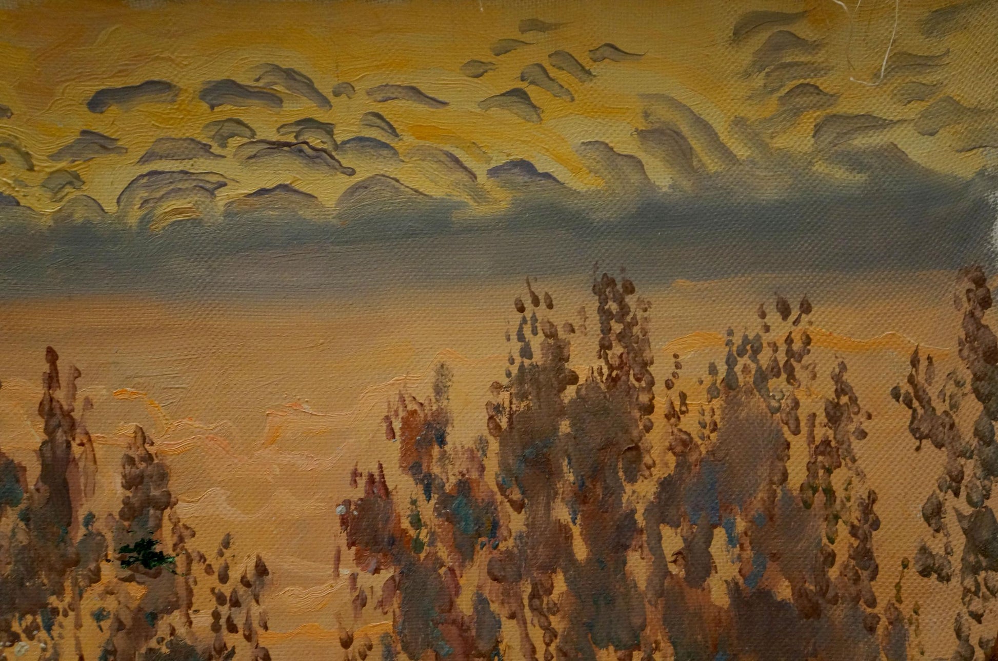 Oil painting Sunset by Chernikov Nikolay Vladimirovich textured sunset sky silhouetted trees