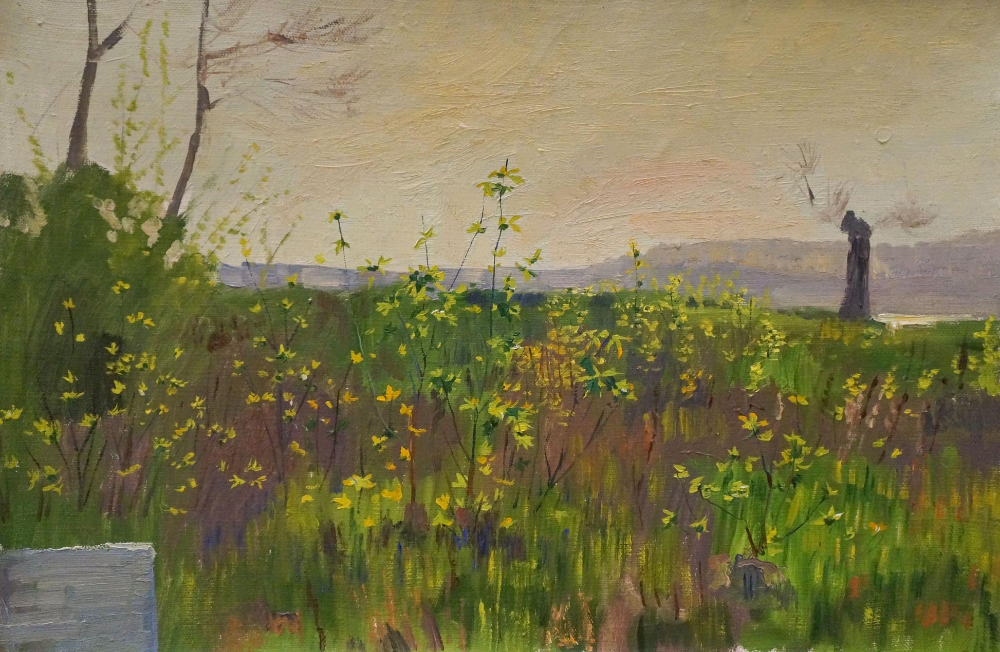 Serene oil painting of camomile field by Chernikov Nikolay Vladimirovich