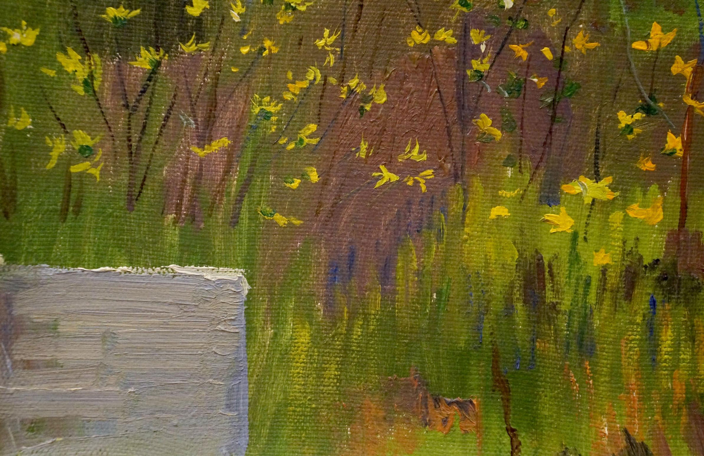 Oil painting of camomile field by Chernikov Nikolay Vladimirovich