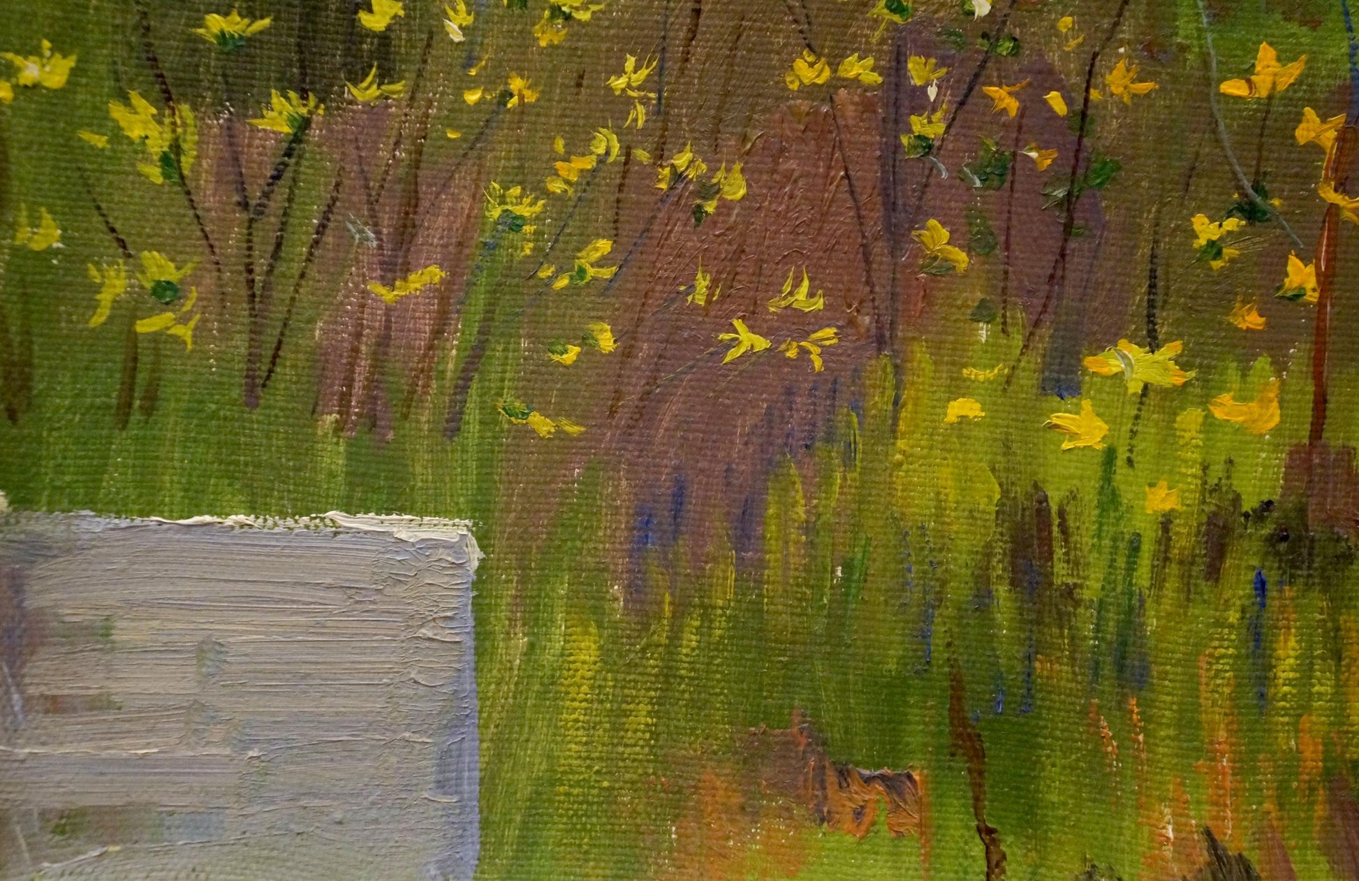 Oil painting of camomile field by Chernikov Nikolay Vladimirovich