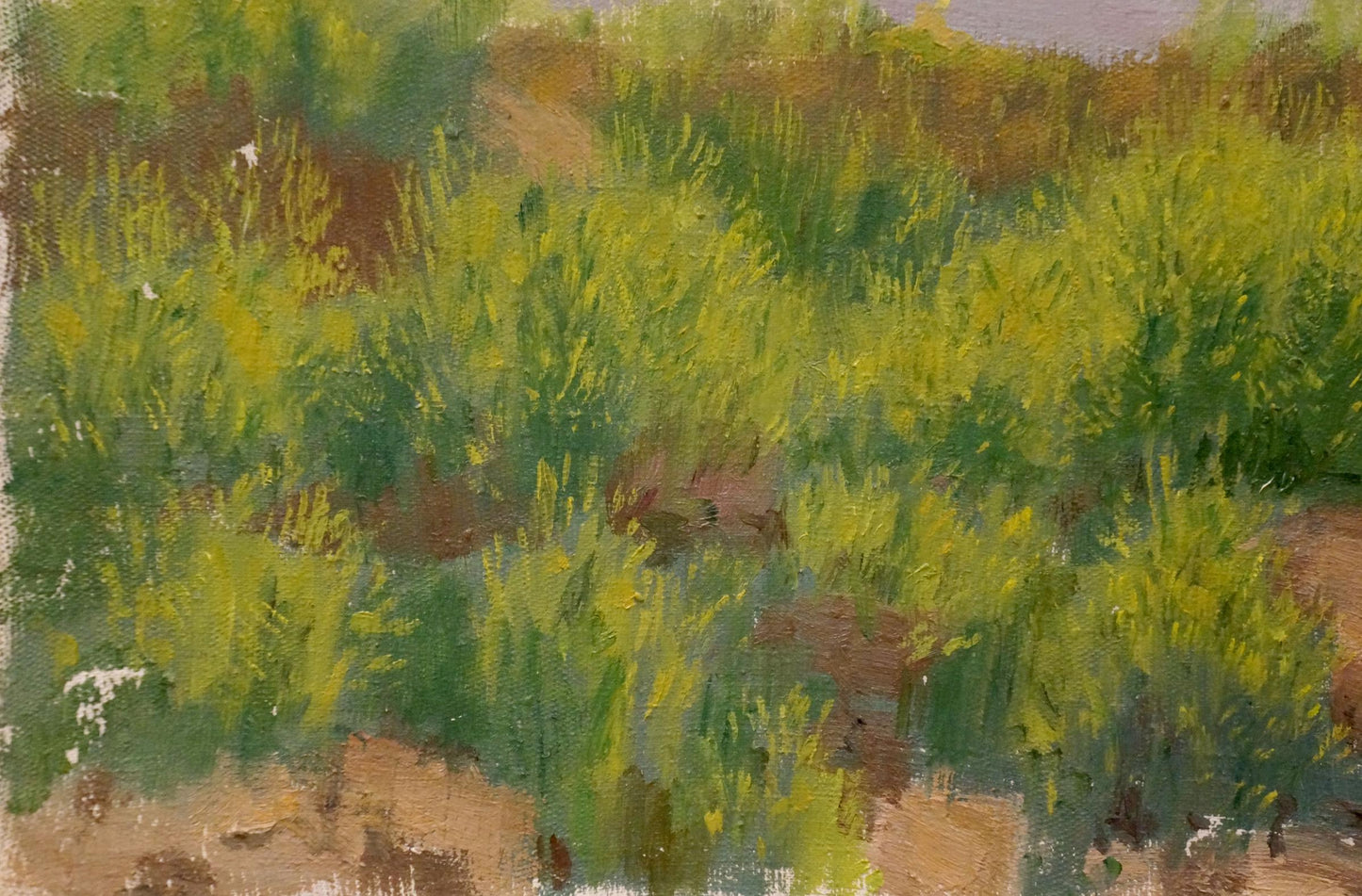 Oil painting After the Rain by Chernikov Nikolay Vladimirovich, sunlit field
