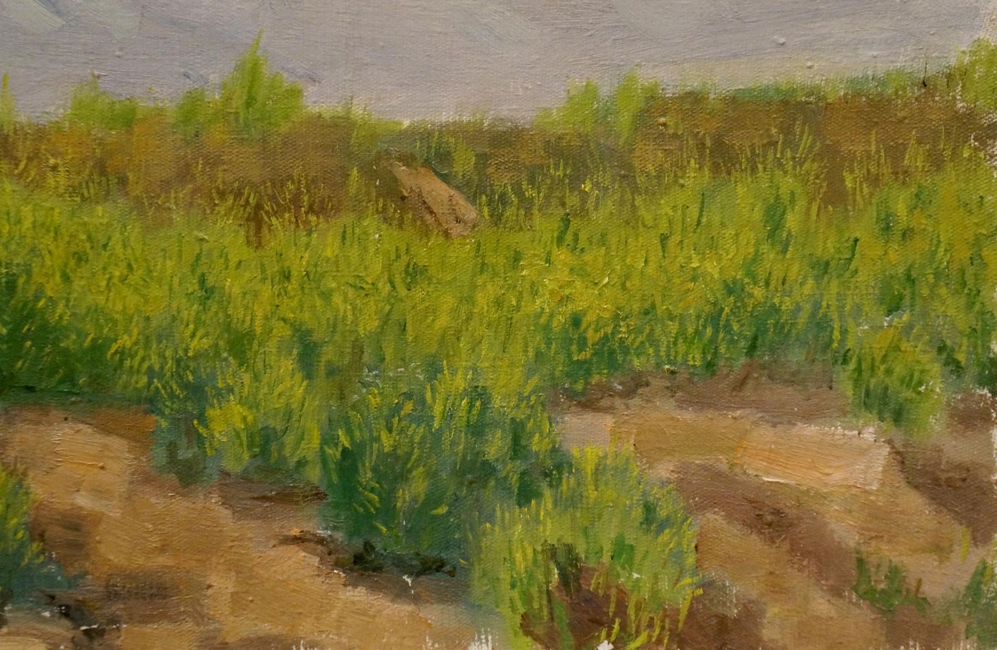 Textured oil painting After the Rain by Chernikov Nikolay Vladimirovich