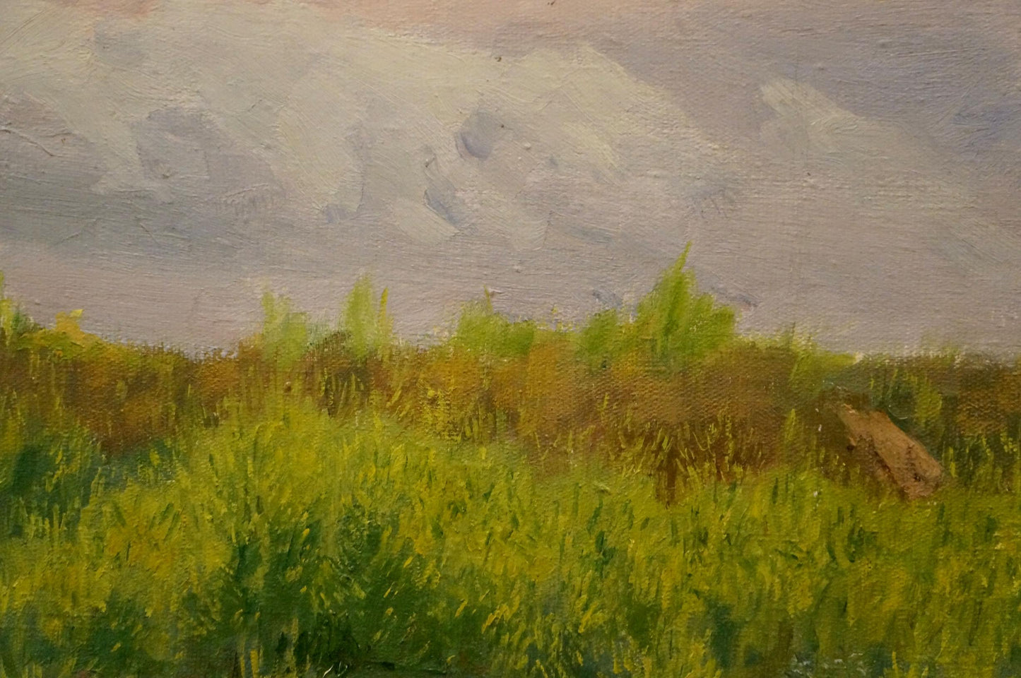 Oil painting After the Rain by Chernikov Nikolay Vladimirovich, green field under cloudy sky