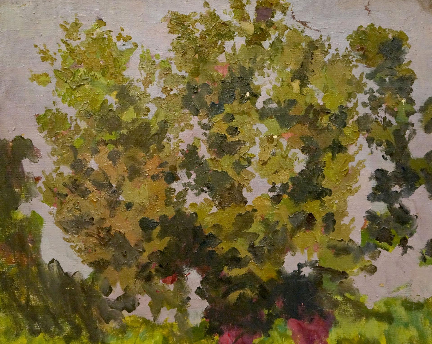 Textured oil painting of lush impressionistic tree by Chernikov Nikolay Vladimirovich