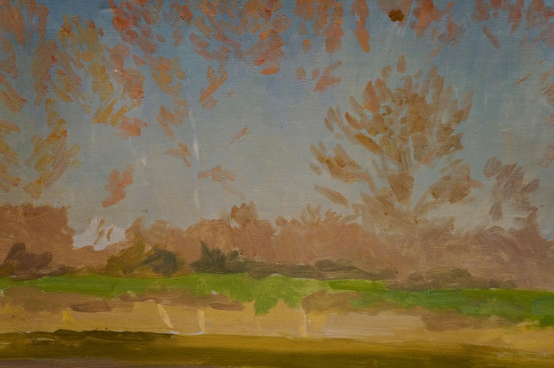 Oil painting Autumn landscape by Chernikov Nikolay Vladimirovich