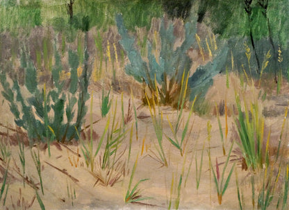 Oil painting Natural beauty by Chernikov Nikolay Vladimirovich, sandy landscape with grasses