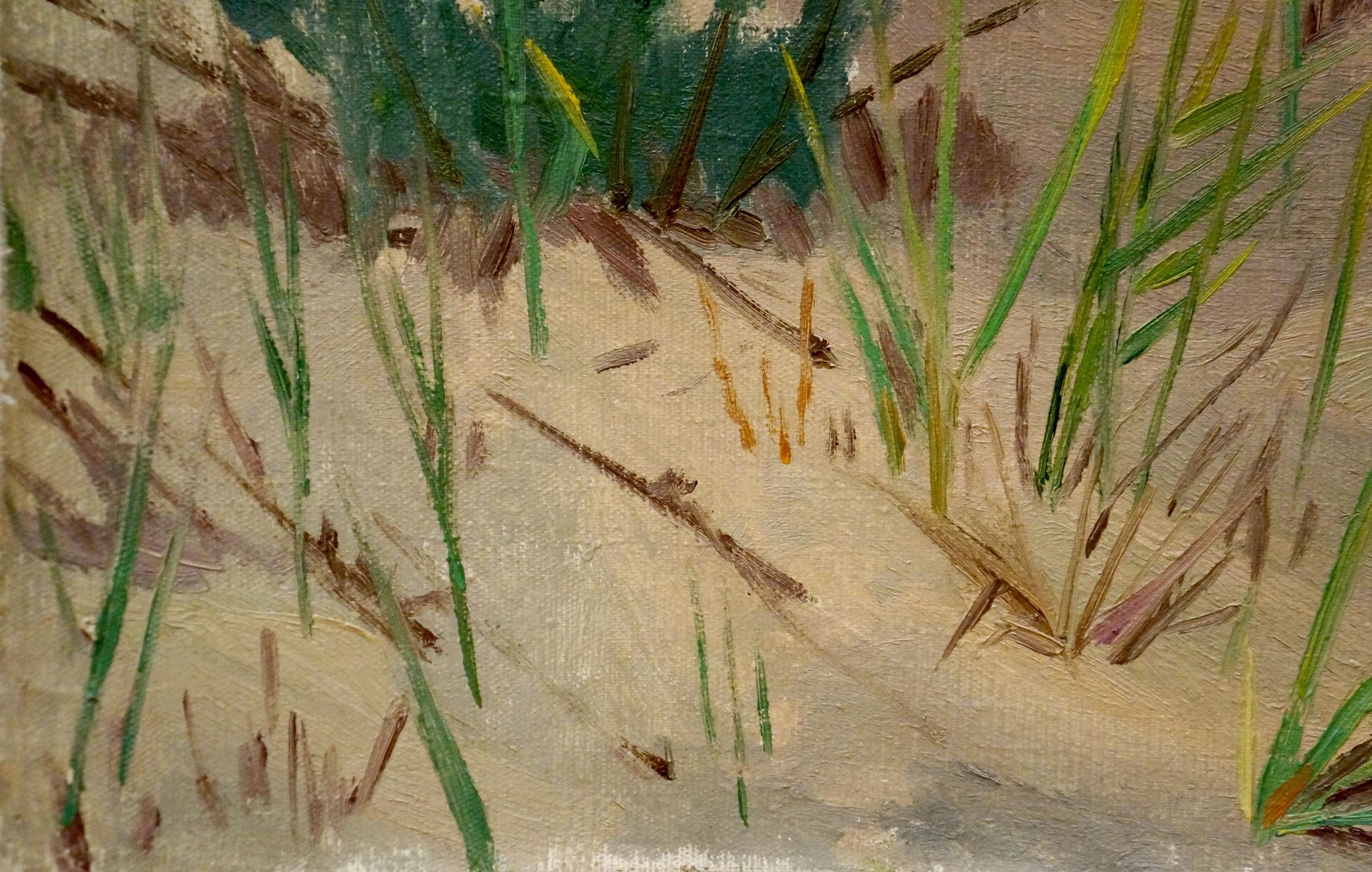 Oil painting of green brown grasses on dunes by Chernikov Nikolay Vladimirovich