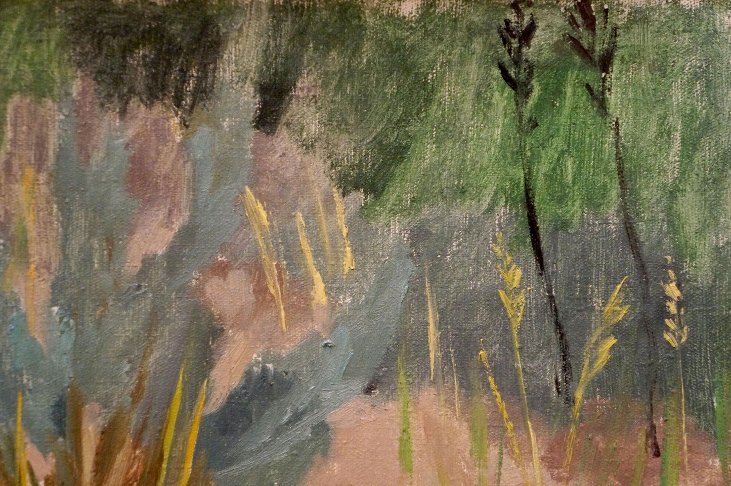 Oil painting Natural beauty by Chernikov Nikolay Vladimirovich: impressionist field grasses