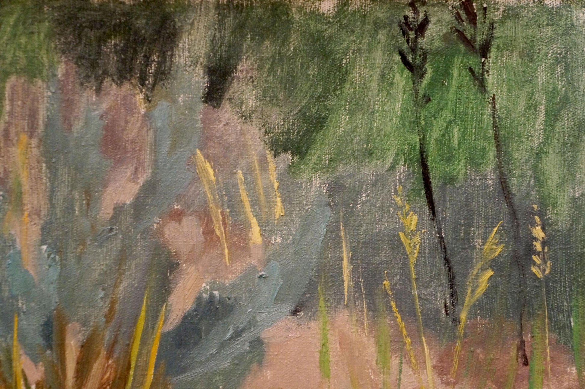 Oil painting Natural beauty by Chernikov Nikolay Vladimirovich: impressionist field grasses