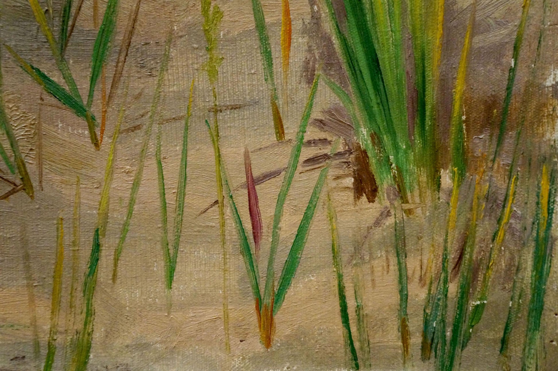 Oil painting Natural beauty by Chernikov Nikolay Vladimirovich, tall green yellow grasses