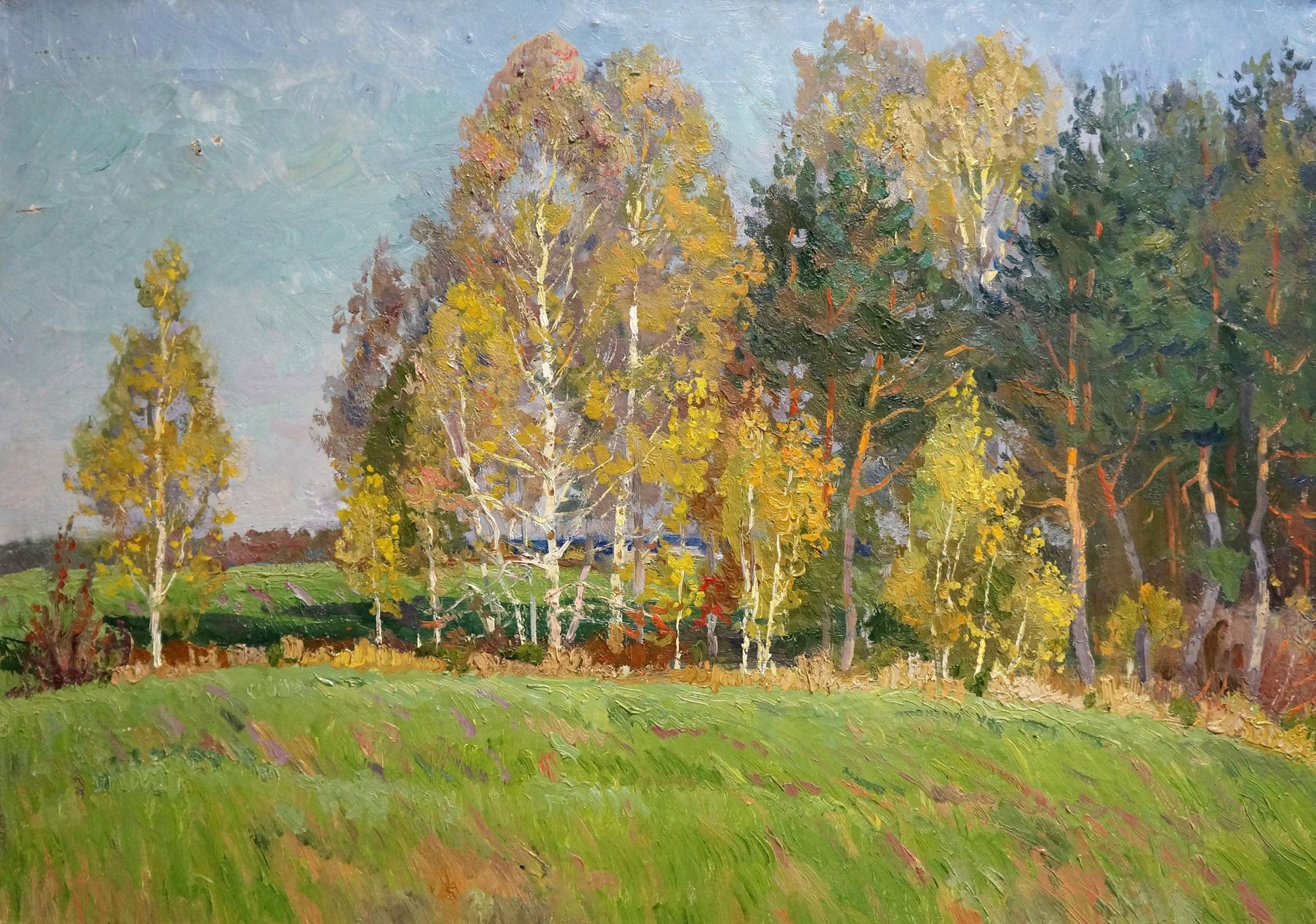 Impressionistic oil painting by Anatoly Fomin of autumnal birch forest