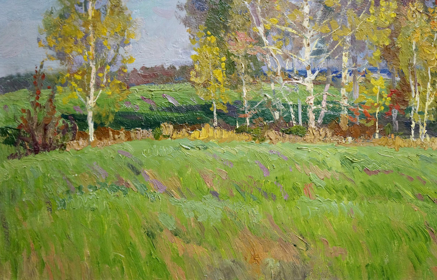 Vibrant oil painting by Anatoly Fomin: sunlit field with yellow birch trees