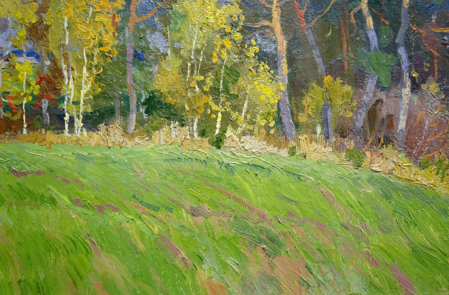 Vibrant oil painting by Anatoly Fomin of sunlit birch forest with yellow trees